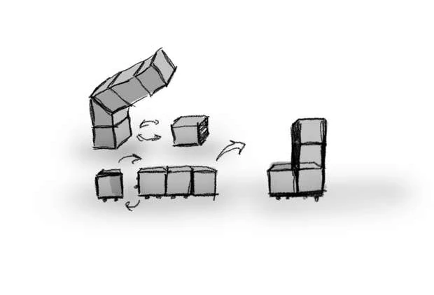 Sketch of the swarm cubes